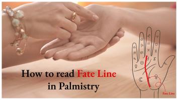 How to Read Fate Line in Palmistry