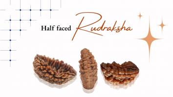 A Guide Half-Faced Rudraksha 