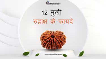 12 मुखी रुद्राक्ष के फायदे और नुकसान | 12 Mukhi Rudraksha Benefits in Hindi