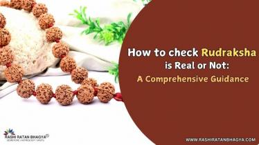 How to Identify Original Rudraksha