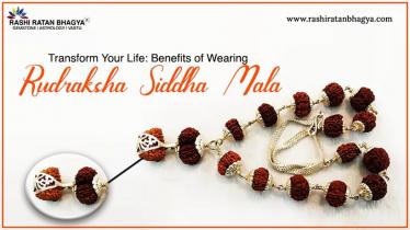 Siddha Mala Rudraksha: Meaning, Benefits and Significance