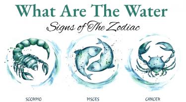 Water Signs in Astrology: Meaning, Traits, and Role