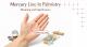 Mercury Line in Palmistry: Meaning, & Significance