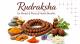 Rudraksha for Mental and Physical Health Benefits