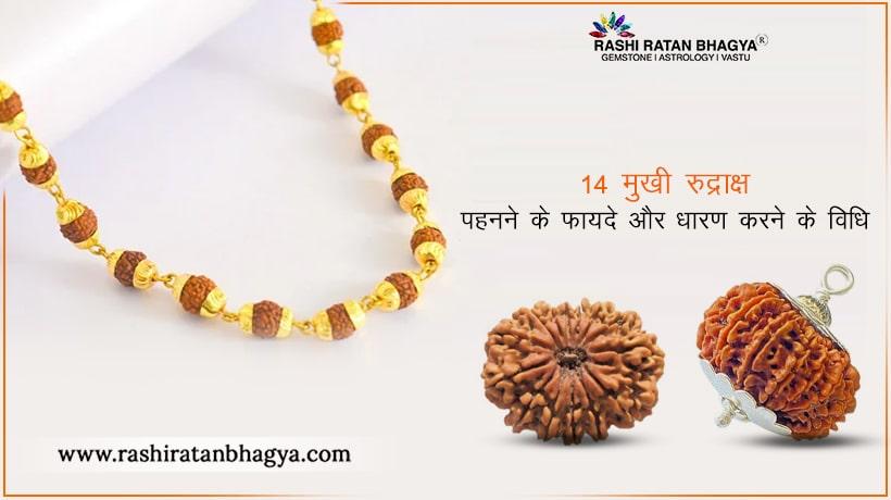 14 मुखी रुद्राक्ष के फायदे और नुकसान | 14 Mukhi Rudraksha Benefits in Hindi