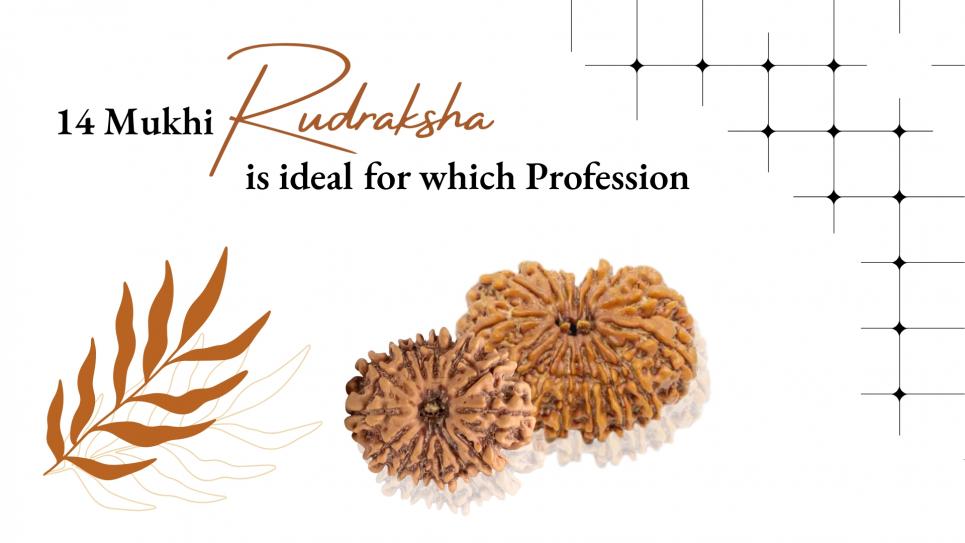 Fourteen Mukhi Rudraksha Ideal For Which Profession?