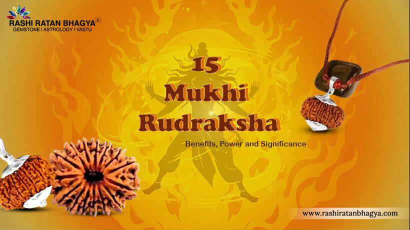 15 Mukhi Rudraksha Benefits, and Significance
