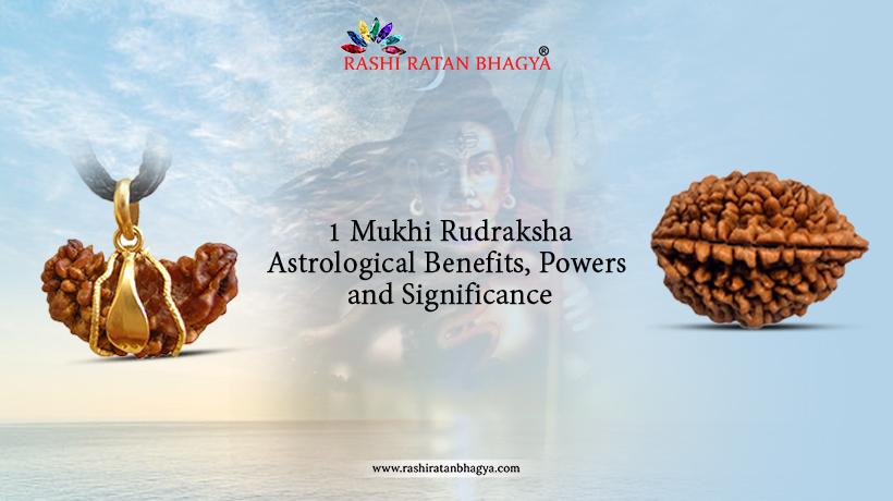 Ek Mukhi Rudraksha Origin, Hidden Powers, and Benefits