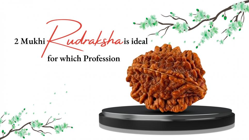 Two Mukhi Rudraksha Ideal For Which Profession?