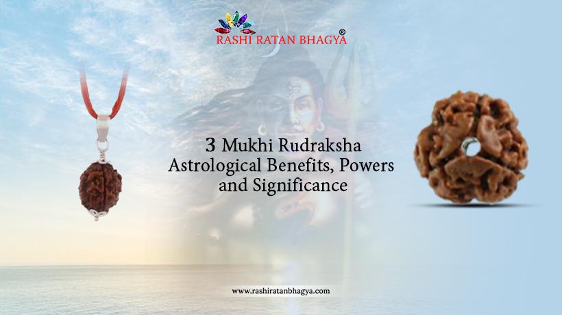 3 Mukhi Rudraksha: Healing Power, Meaning & Benefits