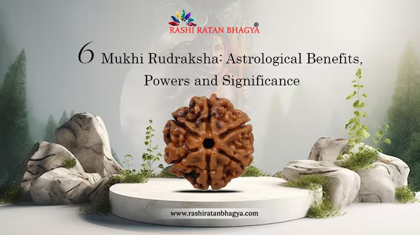 6 Mukhi Rudraksha: Benefits, Power and Significance