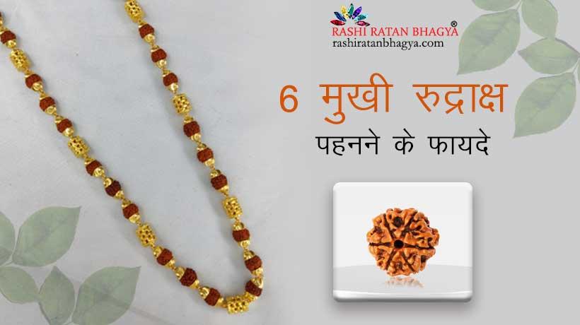 6 मुखी रुद्राक्ष के फायदे और नुकसान | 6 Mukhi Rudraksha Benefits in Hindi