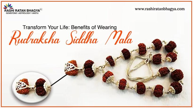 Siddha Mala Rudraksha: Meaning, Benefits and Significance