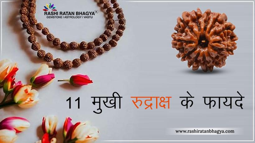 11 मुखी रुद्राक्ष के फायदे और नुकसान | 11 Mukhi Rudraksha Benefits in Hindi