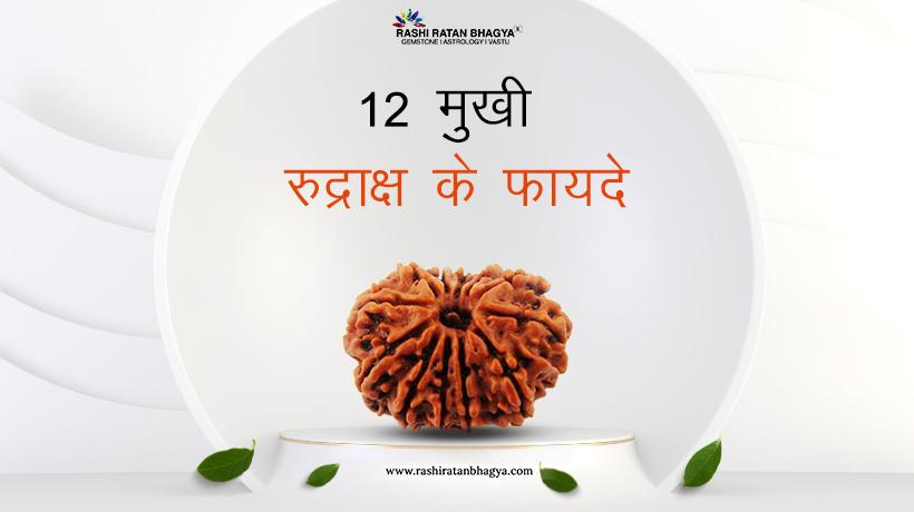 12 मुखी रुद्राक्ष के फायदे - 12 Mukhi Rudraksha ke fayde