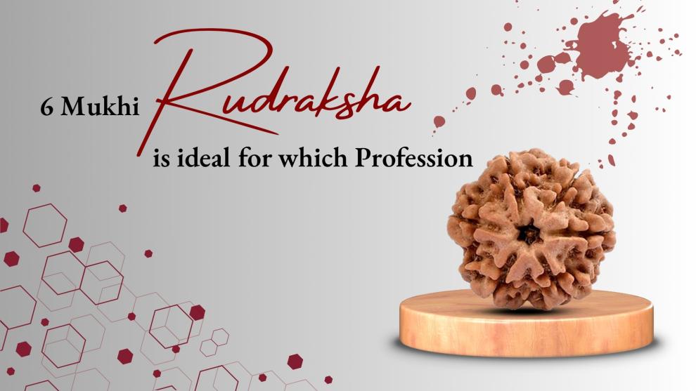 Ideal Profession of 6 Mukhi Rudraksha