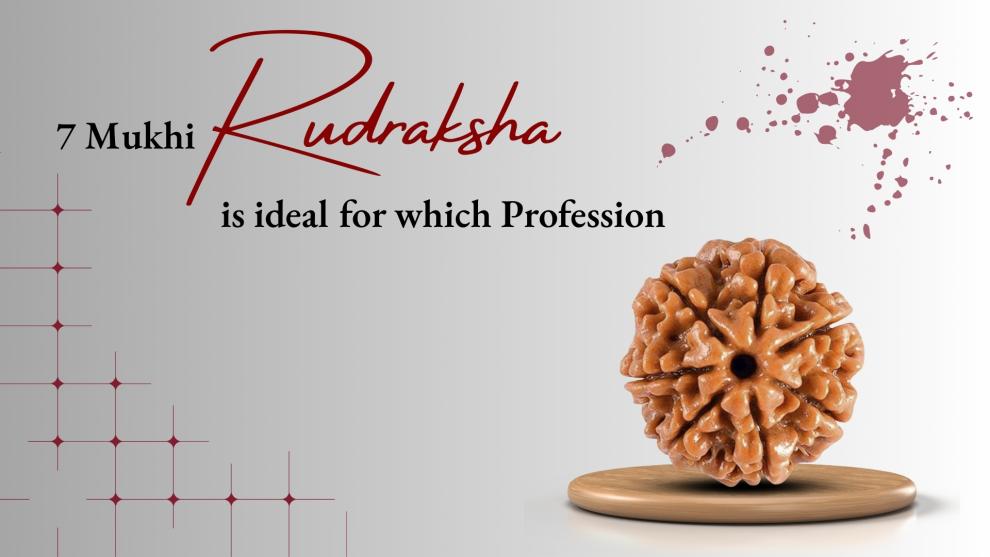 7 Mukhi Rudraksha Significance and Ideal Profession 