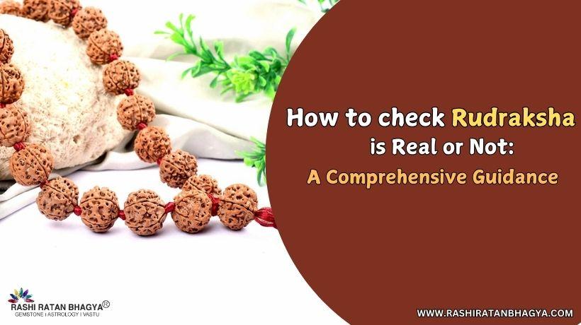 How to Identify Original Rudraksha