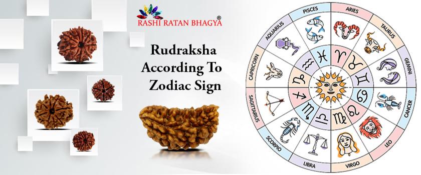 Choose Rudraksha As Per Your Rashi (Zodiac Sign)