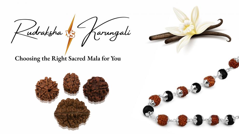 Rudraksha vs. Karungali: Choosing the Right Sacred Mala for You
