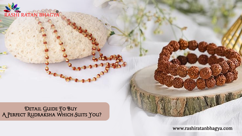 Which Rudraksha Suits You? Detailed Guide