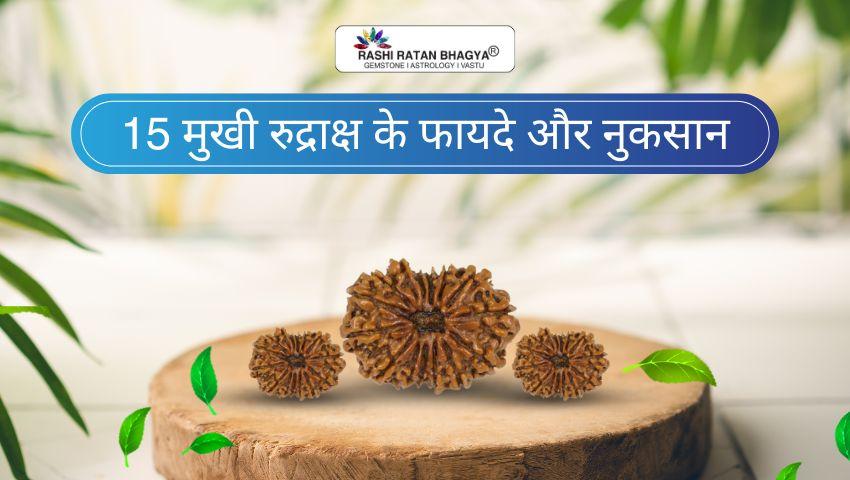 15 मुखी रुद्राक्ष के फायदे और नुकसान