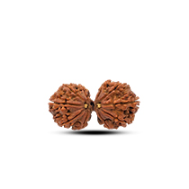 Category Gauri Shankar Rudraksha