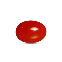 Category Red Coral (मूँगा)
