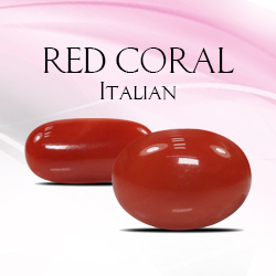 Category Italian Coral
