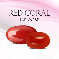 Category Japanese Red Coral