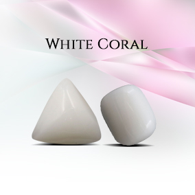 Category White Coral