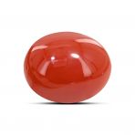 Japanese Red Coral (Moonga) 5.58 Carat