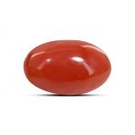 Japanese Red Coral (Moonga) 9.83 Carat