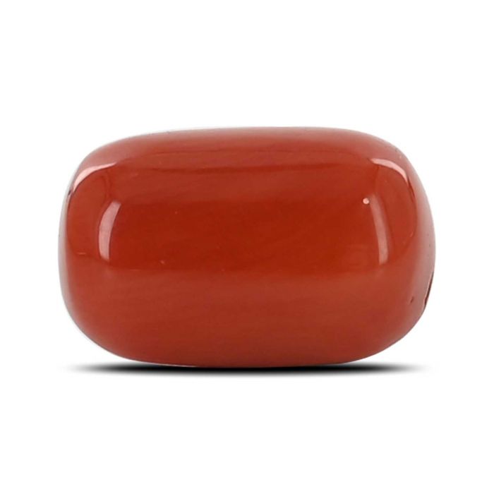 Red Coral (Moonga) - 6.13 Carat 