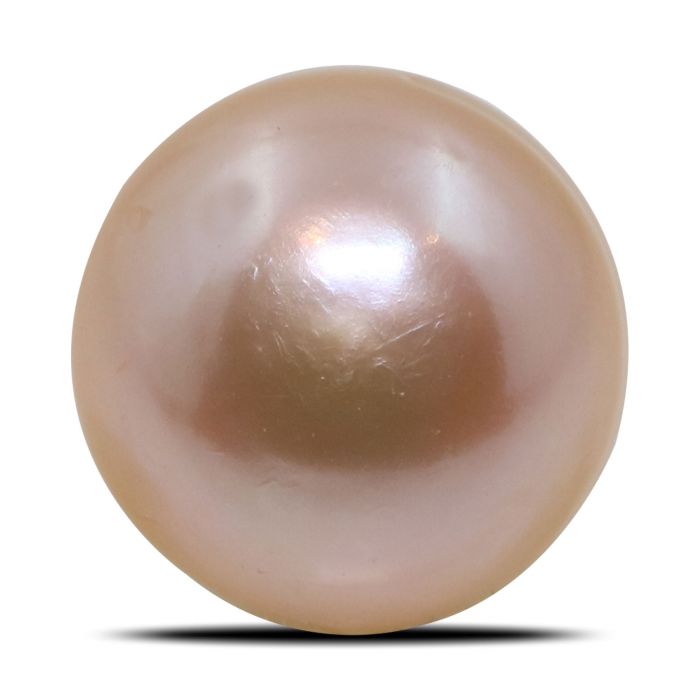 Fresh Water Pearl (Moti) 7.37 Carat 