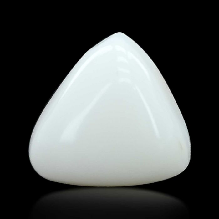 Japani White Coral 11.21 Carat 