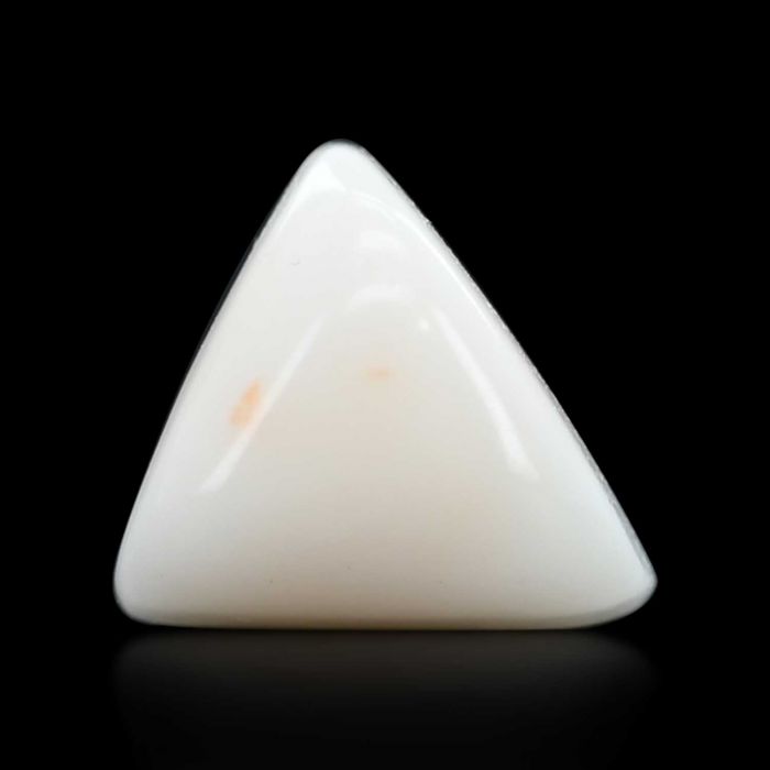 Japani White Coral 8.05 Carat 