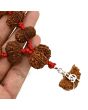 Rudraksha Siddha Mala 1 to 14 Mukhi With Gauri Shankar, Ganesh Rudraksha GJSPC Certified