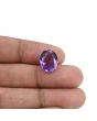 Amethyst (Jamunia) 6.78 Carat 