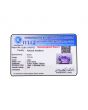 Amethyst (Jamunia) 7.23 Carat 