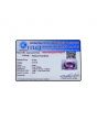 Amethyst (Jamunia) 6.35 Carat 