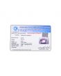 Amethyst (Jamunia) 6.66 Carat 