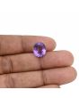 Amethyst (Jamunia) 6.22 Carat 