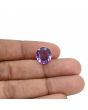 Amethyst (Jamunia) 6 Carat 