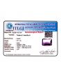 Amethyst (Jamunia) 8.51 Carat 