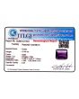 Amethyst (Jamunia) 10.55 Carat 