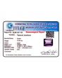 Amethyst (Jamunia) 10.95 Carat 
