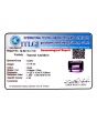 Amethyst (Jamunia) 10.78 Carat 