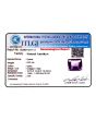 Amethyst (Jamunia) 9.52 Carat 