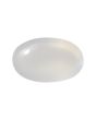 Srilankan Blue Moonstone 3.52 Carat 